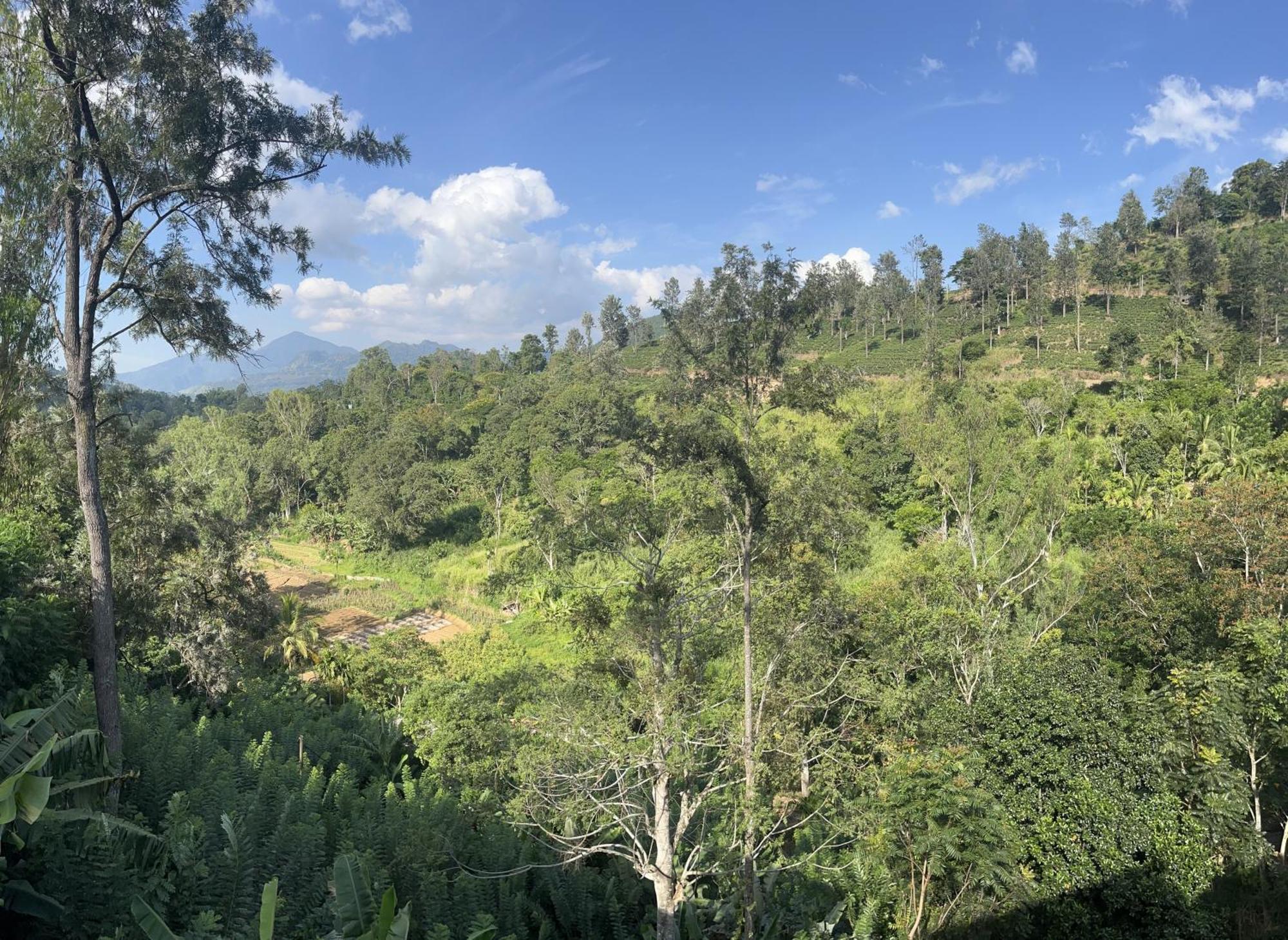 Viyanga Homestay Ella Esterno foto