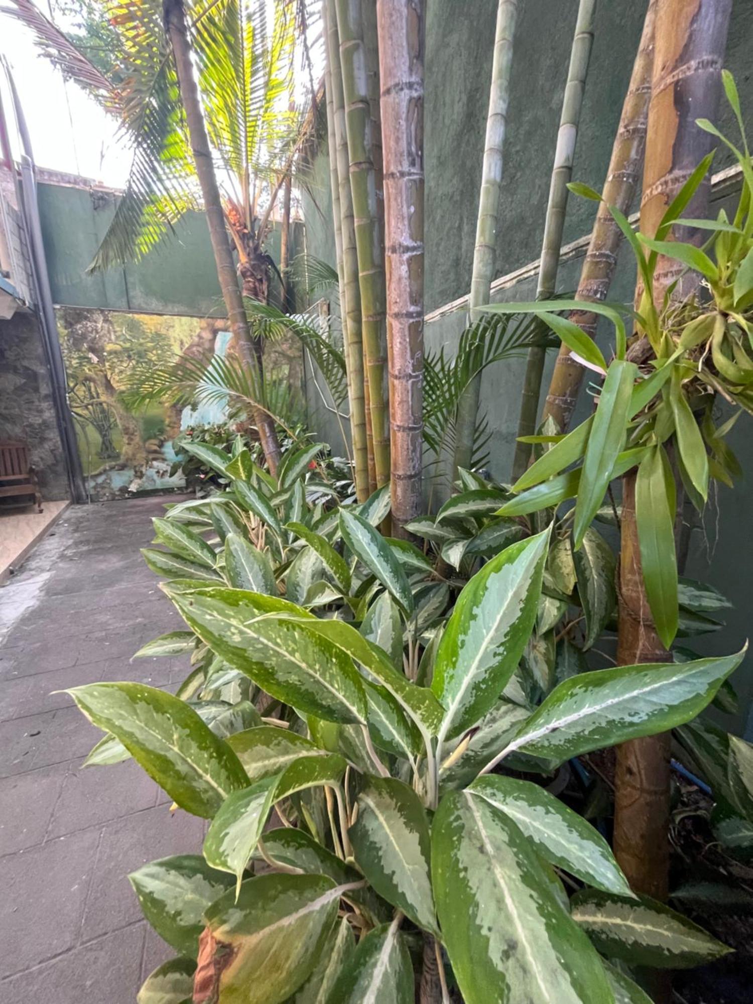 Viyanga Homestay Ella Esterno foto